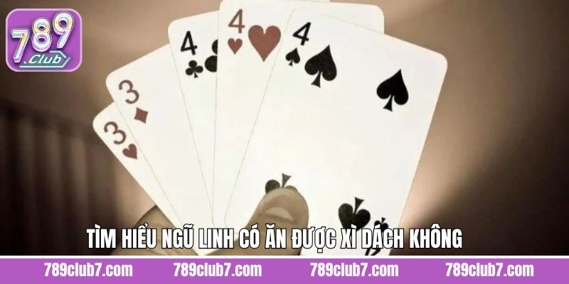 Giải đáp chi tiết về hai thuật ngữ Ngũ Linh và Xì Dách