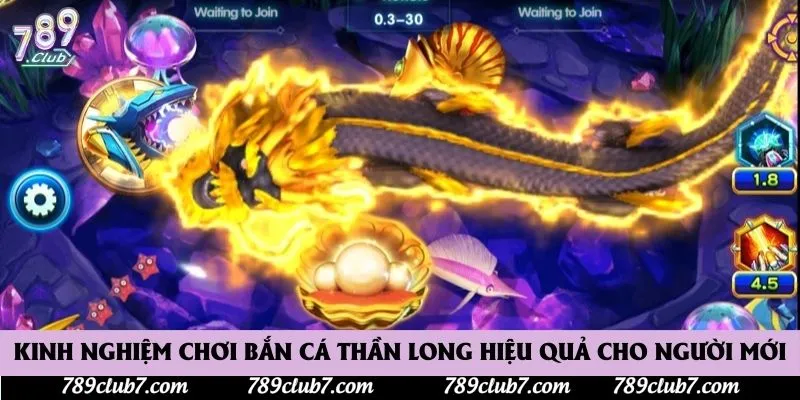 Kinh nghiệm chơi bắn cá thần long hiệu quả cho người mới