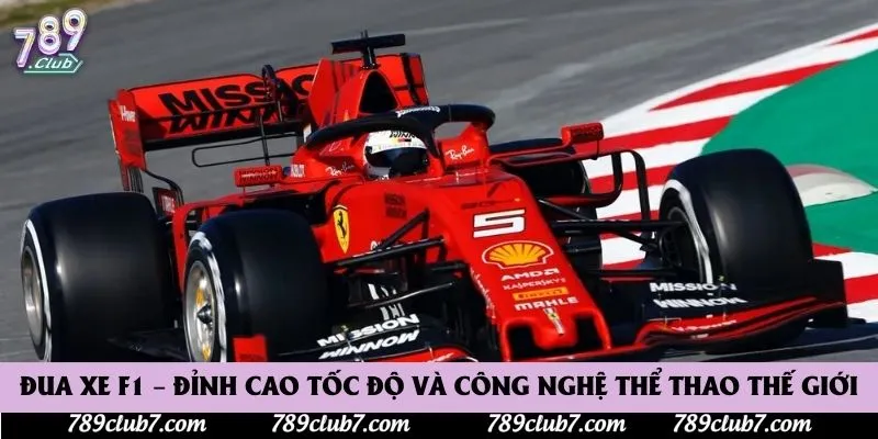 Đua Xe F1 – Đỉnh Cao Tốc Độ Và Công Nghệ Thể Thao Thế Giới