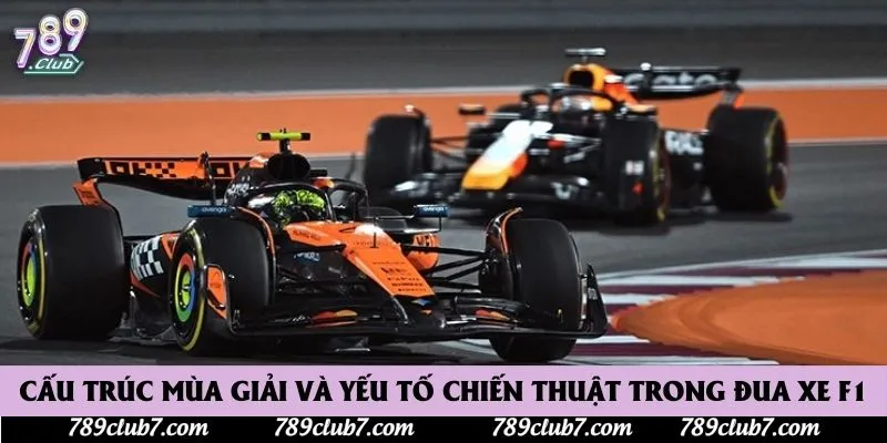 Cấu trúc mùa giải và yếu tố chiến thuật trong đua xe F1
