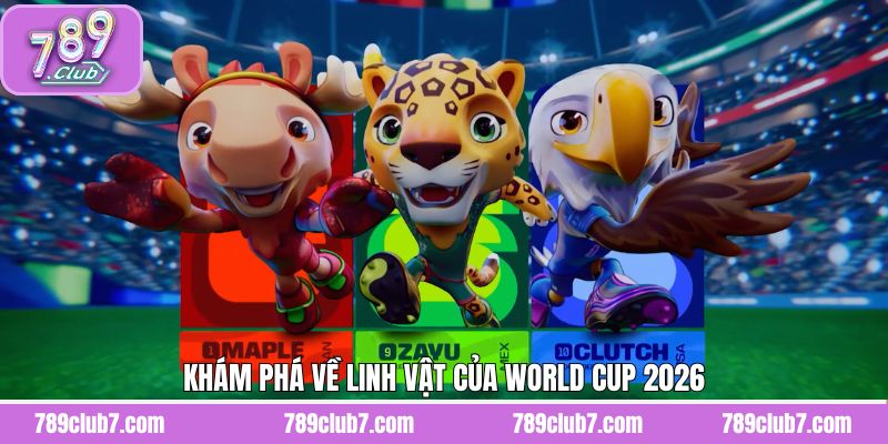 Ý nghĩa cho câu chuyện biểu trưng tại kỳ giải WC