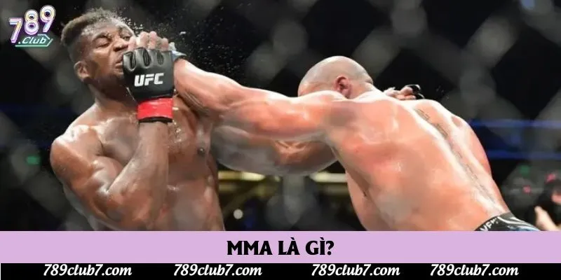 MMA là gì?