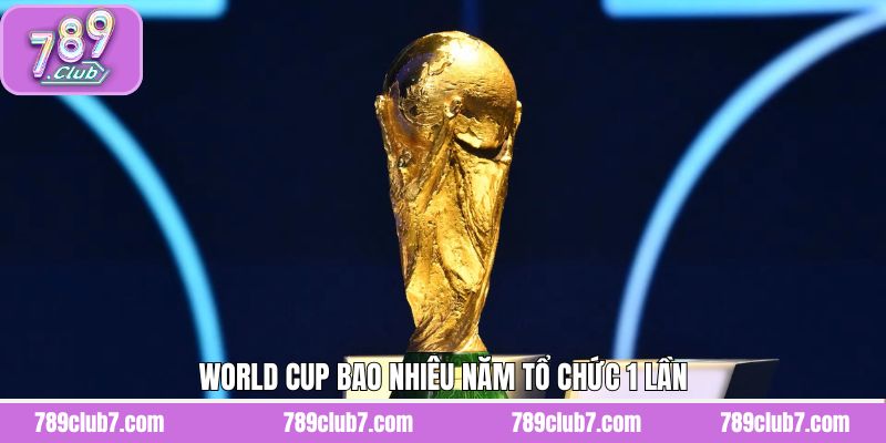 Giải Đáp World Cup Bao Nhiêu Năm Tổ Chức 1 Lần Chi Tiết